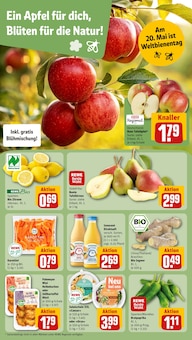 Kartoffeln im REWE Prospekt "Dein Markt" mit 16 Seiten (Mannheim)