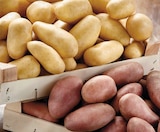 Promo Pommes de terre de consommation à chair ferme à 1,69 € dans le catalogue Intermarché Hyper à Annemasse