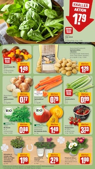 Pflanzen im REWE Prospekt "Dein Markt" mit 16 Seiten (Hannover)