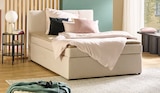 Boxspringbett Duke für 14,99 € bei Sconto SB im Angebot Boxspringbett Duke im aktuellen Sconto SB Prospekt