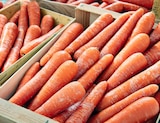 Promo CAROTTE à 2,99 € dans le catalogue Netto à Bédarieux