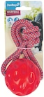 Hundespielzeug Spielball am Seil von ZooRoyal im aktuellen ZooRoyal Prospekt für 4,49 €