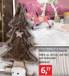 Weihnachtsbaum