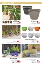 Offre Plante En Pot dans le catalogue Super U du moment à la page 6