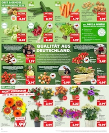 Tomaten im Kaufland Prospekt "Aktuelle Angebote" mit 28 Seiten (Magdeburg)