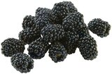 REWE Bad Heilbrunn - Brombeeren Angebot im Prospekt Brombeeren bei REWE im Bad Heilbrunn Prospekt für 1,99 €