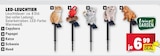Capybara LED-Leuchttier im Angebot bei Marktkauf in Aalen Capybara LED-Leuchttier Angebote von Living & Garden bei Marktkauf Aalen für 6,99 €