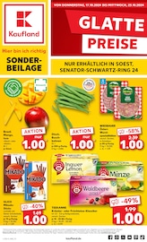 Aktueller Kaufland Prospekt mit Getränke, "Sonderbeilage", Seite 1