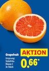 Grapefruit im aktuellen Lidl Prospekt