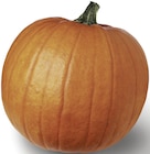 METRO Elsdorf - Halloweenkürbis Angebot im Prospekt Halloweenkürbis bei METRO im Elsdorf Prospekt für 4,06 €