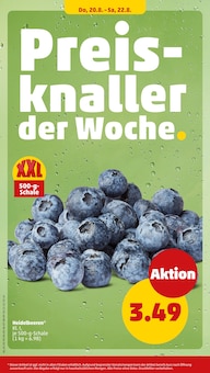 Blaubeeren Angebot im Penny Prospekt, gültig von 17.08.2026 bis 22.08.2026 Blaubeeren Angebot im aktuellen Penny Prospekt auf Seite 32
