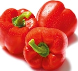 Paprika rot bei Netto mit dem Scottie im Colbitz Prospekt für 2,19 €