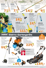 Gräser Angebot im aktuellen Globus-Baumarkt Prospekt auf Seite 3