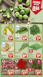 Ähnliche Gartenerde Angebote im Prospekt "Dein Markt" von REWE in Rosenheim Ähnliche Angebote wie Gartenerde im Prospekt "Dein Markt" auf Seite 9 von REWE in Rosenheim