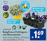 Beetpflanzen-Frühlingsmix oder Bienenstauden Angebote von GARDENLINE bei ALDI SÜD Wesel für 1,69 €