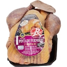 Pintade fermière d'Auvergne I.G.P. Label Rouge - CARREFOUR EXTRA en promo chez Carrefour Market Pintade fermière d'Auvergne I.G.P. Label Rouge - CARREFOUR EXTRA dans le catalogue Carrefour Market