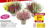 Angebot im toom Baumarkt Berlin Prospekt toom Baumarkt Berlin Prospekt mit  im Angebot fĂŒr 1,99 âŹ
