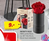 INFINITY ROSE bei Höffner im Prospekt "" für 9,00 €