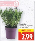 Lavendel bei E center im  Prospekt für 2,99 €