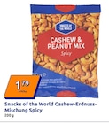 Cashew-Erdnuss-Mischung Spicy von Snacks of the World im aktuellen Action Prospekt