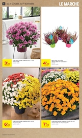 Promos Chrysanthèmes dans le catalogue "-60% DE REMISE IMMÉDIATE SUR LE 2ÈME" de Intermarché Hyper Chrysanthèmes en promo dans le catalogue Intermarché Hyper à la page 16