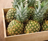 Intermarché Super Gradignan - Promo Ananas Promo Ananas à 1,49 € dans le catalogue Intermarché Super à Gradignan