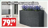 Aktuelle Blumentopf Angebote bei Wreesmann in Dresden Aktuelles XXL-RATTAN-BLUMENKÜBEL Angebot bei Wreesmann in Dresden ab 79,99 €