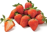 Promo Fraise à 2,76 € dans le catalogue Lidl à Le Havre