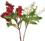 Ausgewählte Töpfe und Zweige Angebote bei Rusta Bremen für 1,09 €