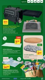 Fressnapf Hundebett im Prospekt 