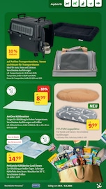 Aktueller Fressnapf Prospekt mit Box, "Mehr einpacken, weniger ausgeben!", Seite 21