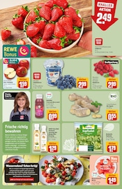 Salat im REWE Prospekt in Hildesheim Aktueller REWE Prospekt mit Salat, "Dein Markt", Seite 8