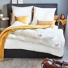 Kopfkissen Angebote von Paradies bei Möbel Martin Saarlouis für 39,99 €