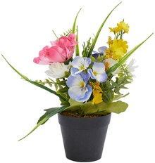 Blumen im aktuellen Woolworth Prospekt für €5.00