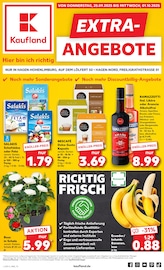 Aktueller Kaufland Prospekt mit Käse, "EXTRA-ANGEBOTE", Seite 1