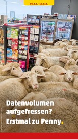 Herren Hemd im Penny Prospekt in Celle Aktueller Penny Prospekt mit Herren Hemd, "Wer günstig will, muss Penny.", Seite 26