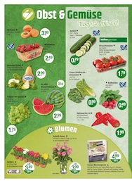 V-Markt Birnen im Prospekt V-Markt Birnen im Prospekt