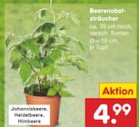 Netto Marken-Discount Allstedt - Beerenobststräucher Angebot im Prospekt Beerenobststräucher bei Netto Marken-Discount im Allstedt Prospekt für 4,99 €