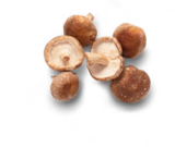 Kaufland Zschopau - Kräuterseitlinge oder Shiitake-Pilze Angebot im Prospekt Kräuterseitlinge oder Shiitake-Pilze bei Kaufland im Zschopau Prospekt für 2,49 €
