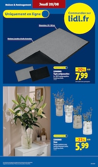 Promotion Luminaire dans le prospectus Lidl, valable du 20/08/2026 au 26/08/2026 Promo Luminaire dans le catalogue Lidl du moment à la page 7