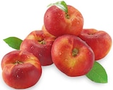 Plattnektarinen für 2,99 € bei REWE im Angebot Plattnektarinen im aktuellen REWE Prospekt