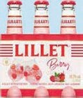 Trinkgut Donauwörth - Berry, White Peach oder Grapefruit Angebot im Prospekt Berry, White Peach oder Grapefruit bei Trinkgut im Donauwörth Prospekt für 6,99 €