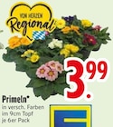 Primeln von  im aktuellen EDEKA Prospekt für 3,99 €