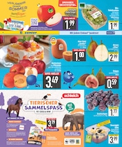 Aktueller EDEKA Prospekt mit Spielwaren, "DAS BESTE DER WOCHE", Seite 6