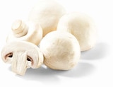 Champignon weiss Angebote bei Netto Marken-Discount Bonn für 1,00 €