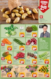 Pflanzen im REWE Prospekt in Hildesheim Aktueller REWE Prospekt mit Pflanzen, "Dein Markt", Seite 7