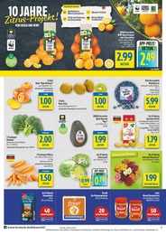 diska Treuepunkte im Prospekt 