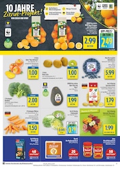 Ähnliche Angebote wie Zitronenbaum im Prospekt "alles an deinem ort." auf Seite 4 von diska in Plauen