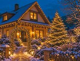 Lichterkette 24 LEDs im Angebot bei Netto mit dem Scottie in Kiel Lichterkette 24 LEDs Angebote bei Netto mit dem Scottie Kiel für 1,99 €