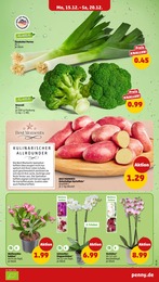 Kartoffeln Angebot & Preis im aktuellen Penny Prospekt Kartoffeln Angebot im aktuellen Penny Prospekt auf Seite 5